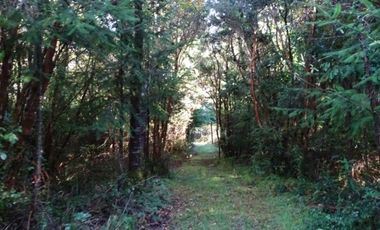 Hermosas Parcelas Condominio Los Aromos UF 3.500