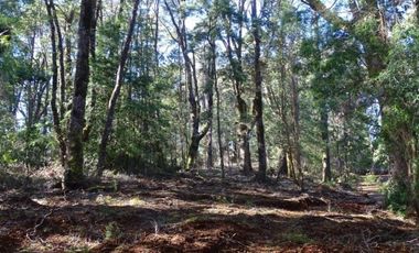 Hermosas Parcelas Condominio Los Aromos UF 3.500