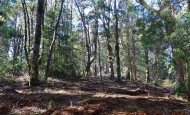 Hermosas Parcelas Condominio Los Aromos UF 3.500