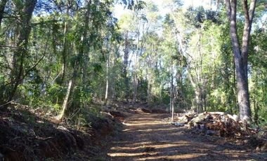 Hermosas Parcelas Condominio Los Aromos UF 3.500