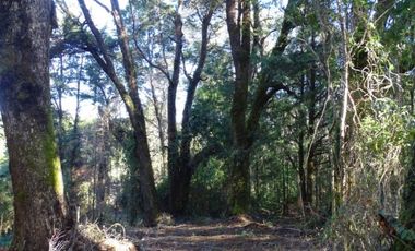 Hermosas Parcelas Condominio Los Aromos UF 3.500