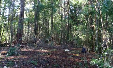 Hermosas Parcelas Condominio Los Aromos UF 3.500