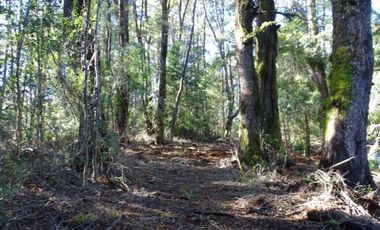 Hermosas Parcelas Condominio Los Aromos UF 3.500