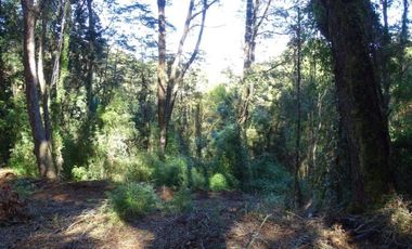 Hermosas Parcelas Condominio Los Aromos UF 3.500