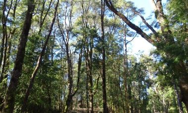 Hermosas Parcelas Condominio Los Aromos UF 3.500