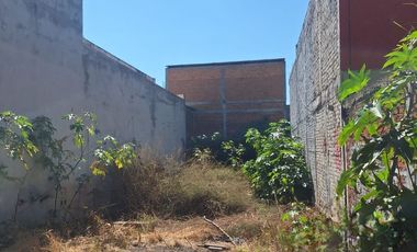 “Excelente Opción de Renta: Terreno en Col. Guadalupe”