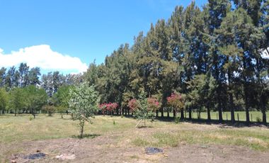 Hermosa quinta rural con casa de 100 mts