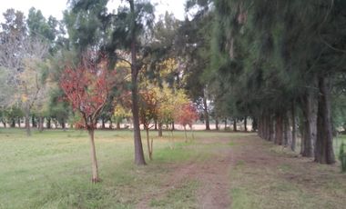Hermosa quinta rural con casa de 100 mts