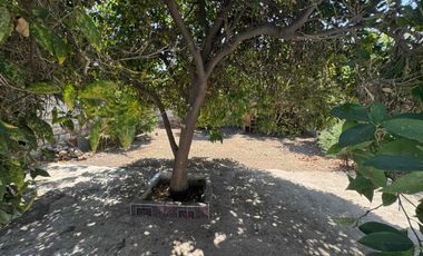 Arriendo amplia casa 3D 1B en recoleta