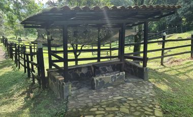 Finca Primavera Cundinamarquesa