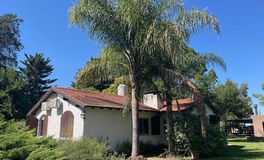 Hermosa chacra de 5 has en Santa Lucia San Pedro