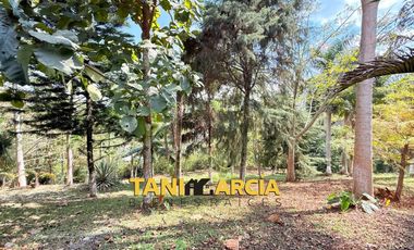 Rento Bella Casa de 1 Nivel en Córdoba de 4,400 m2 terreno, Fraccionamiento Privado