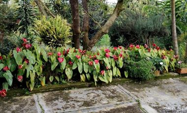 VENTA DE FINCA MUY ACOGEDORA DE 2.100 MT2 EN VEREDA LA MESETA, EL PEÑOL, ANTIOQUIA