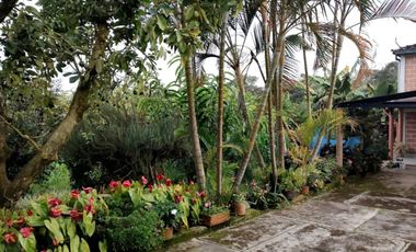 VENTA DE FINCA MUY ACOGEDORA DE 2.100 MT2 EN VEREDA LA MESETA, EL PEÑOL, ANTIOQUIA