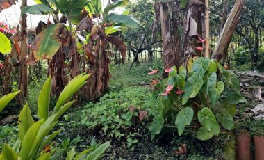 VENTA DE FINCA MUY ACOGEDORA DE 2.100 MT2 EN VEREDA LA MESETA, EL PEÑOL, ANTIOQUIA