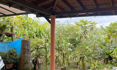 VENTA DE FINCA MUY ACOGEDORA DE 2.100 MT2 EN VEREDA LA MESETA, EL PEÑOL, ANTIOQUIA