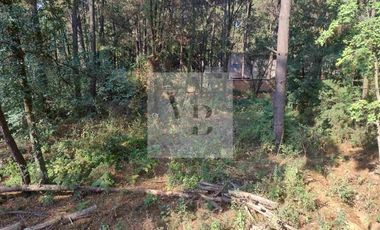 Renta de casa nueva en el bosque