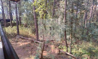 Renta de casa nueva en el bosque