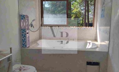 Renta de casa nueva en el bosque