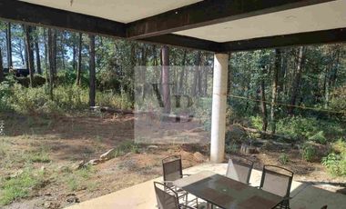 Renta de casa nueva en el bosque