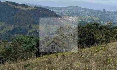LOTES EN VENTA TUTUPALI CHICO -   10000M2