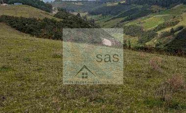 LOTES EN VENTA TUTUPALI CHICO -   10000M2