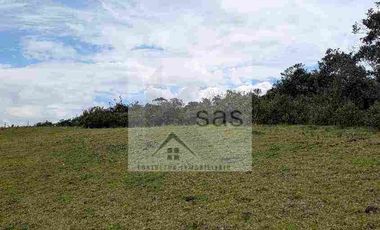 LOTES EN VENTA TUTUPALI CHICO -   10000M2