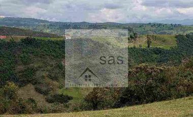 LOTES EN VENTA TUTUPALI CHICO -   10000M2
