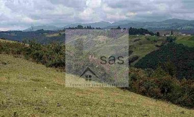 LOTES EN VENTA TUTUPALI CHICO -   10000M2