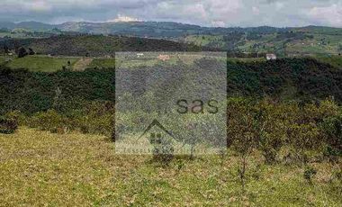 LOTES EN VENTA TUTUPALI CHICO -   10000M2