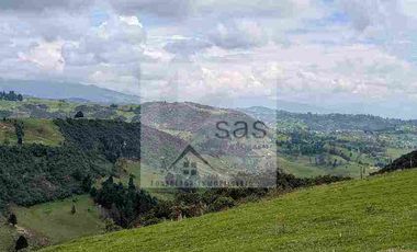 LOTES EN VENTA TUTUPALI CHICO -   10000M2