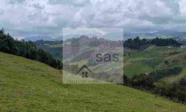 LOTES EN VENTA TUTUPALI CHICO -   10000M2
