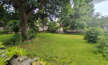 Aset Tanah & Bangunan Klasik Luas Hanya Selangkah ke Tugu Jogja & Kawasan Bisnis Monginsidi, Tegalrejo, Yogyakarta