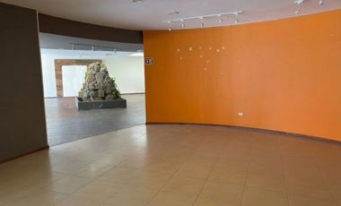 Local comercial 800 m2 sobre 25 Oriente