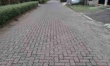 Rumah Asri Lebak Bulus Cilandak