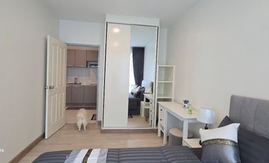 Condo for sale (newly  whole room), size 36 sq m., near BTS Punnawithi, Sukhumvit 101/1, 9th floor, pool view, 1.95 baht. (healthy rubber mattresses.