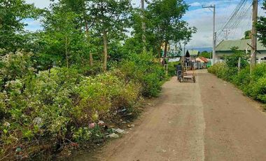 Residential Lot for sale in brgy. Agus, Lapu-Lapu City Cebu