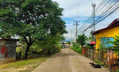 Residential Lot for sale in brgy. Agus, Lapu-Lapu City Cebu