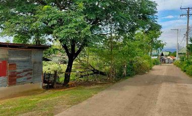 Residential Lot for sale in brgy. Agus, Lapu-Lapu City Cebu
