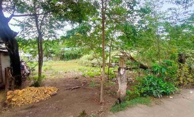Residential Lot for sale in brgy. Agus, Lapu-Lapu City Cebu