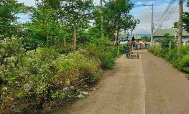 Residential Lot for sale in brgy. Agus, Lapu-Lapu City Cebu