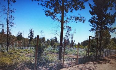 Preciosa Parcela Cercada, A 30 Min De Las Termas De Chillán.