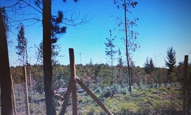 Preciosa Parcela Cercada, A 30 Min De Las Termas De Chillán.
