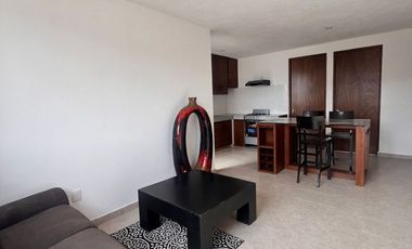 DEPARTAMENTO AMUEBLADO EN SAN MIGUEL DE ALLENDE GTO