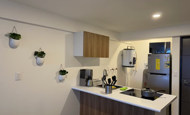 Departamento Amueblado con Balcón y Roof Garden Privado en Renta | Lázaro Cárdenas 71 | Centro CDMX