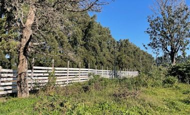 Quinta con amplio lote y pileta instalada.