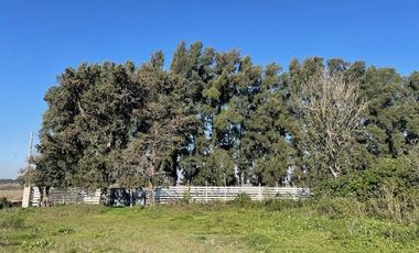 Quinta con amplio lote y pileta instalada.