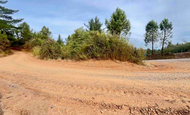 RERE, parcelita a 6 minutos de Yumbel