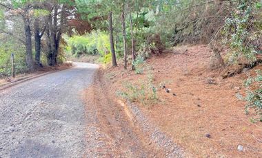 RERE, parcelita a 6 minutos de Yumbel