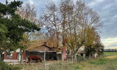Amplia quinta con casa galpón arboleda y mucho verde